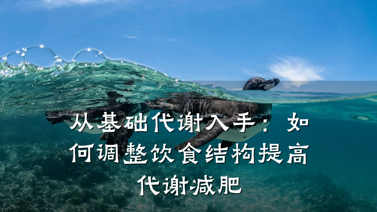 从基础代谢入手:如何调整饮食结构提高代谢减肥
