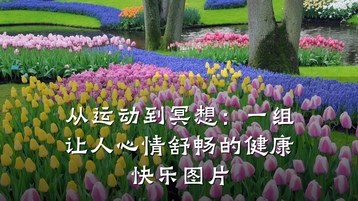 从运动到冥想:一组让人心情舒畅的健康快乐图片