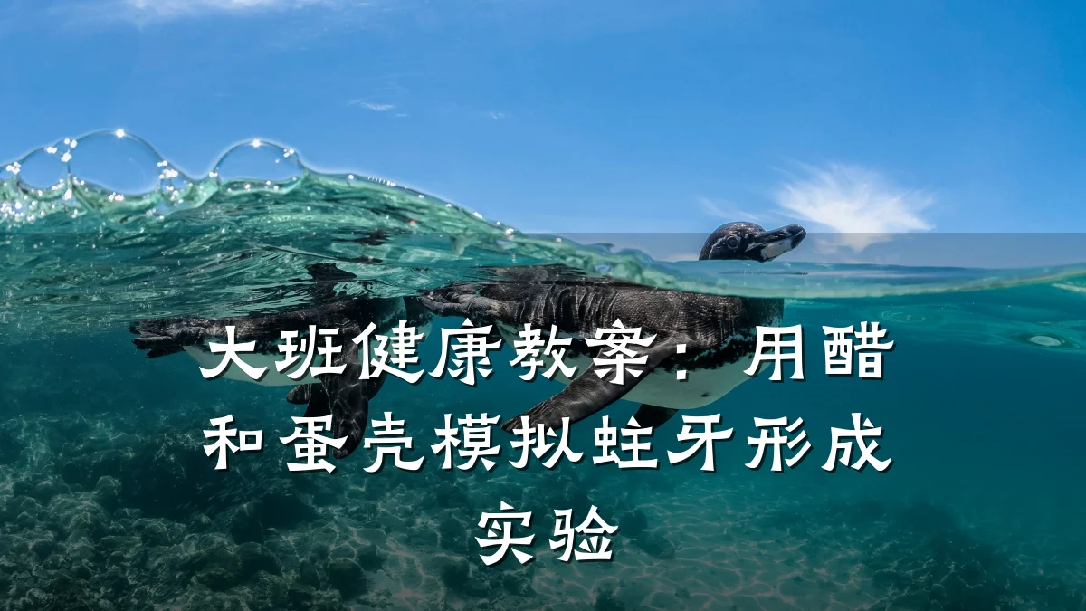 大班健康教案:用醋和蛋壳模拟蛀牙形成实验