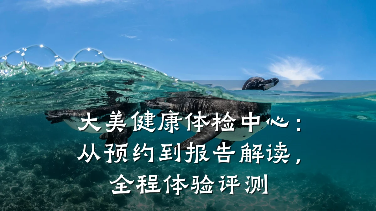 大美健康体检中心:从预约到报告解读,全程体验评测
