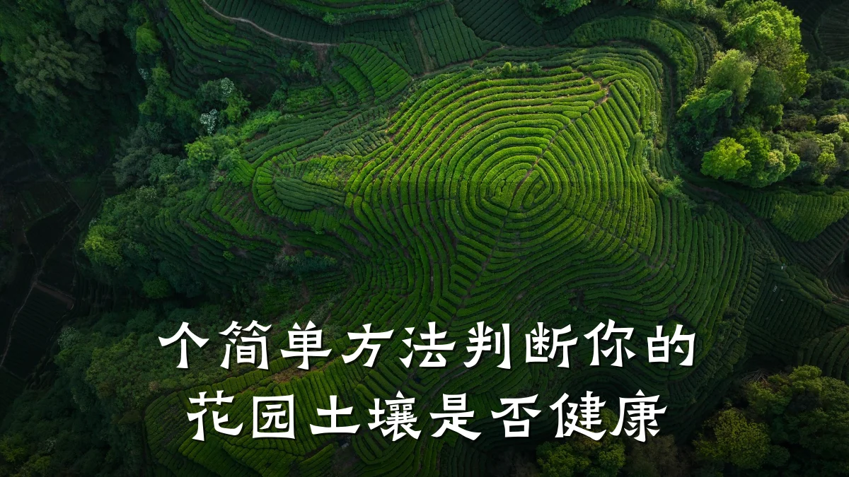 个简单方法判断你的花园土壤是否健康