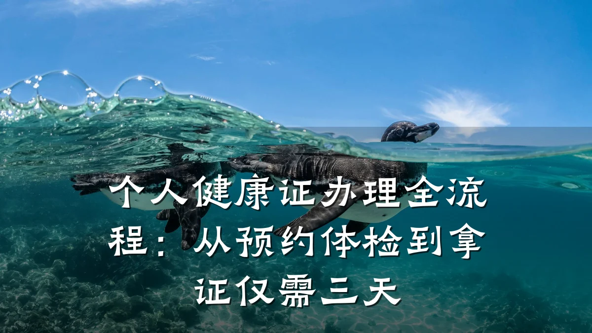 个人健康证办理全流程:从预约体检到拿证仅需三天