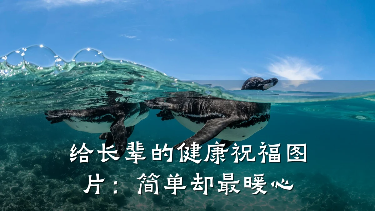 给长辈的健康祝福图片:简单却最暖心