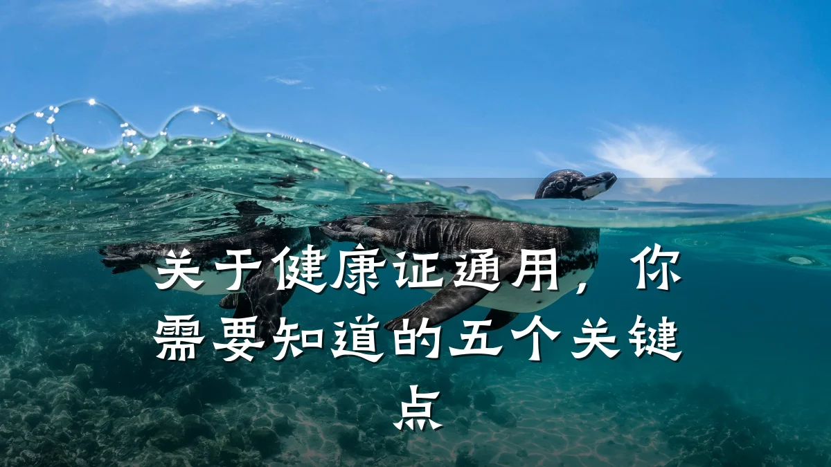 关于健康证通用,你需要知道的五个关键点