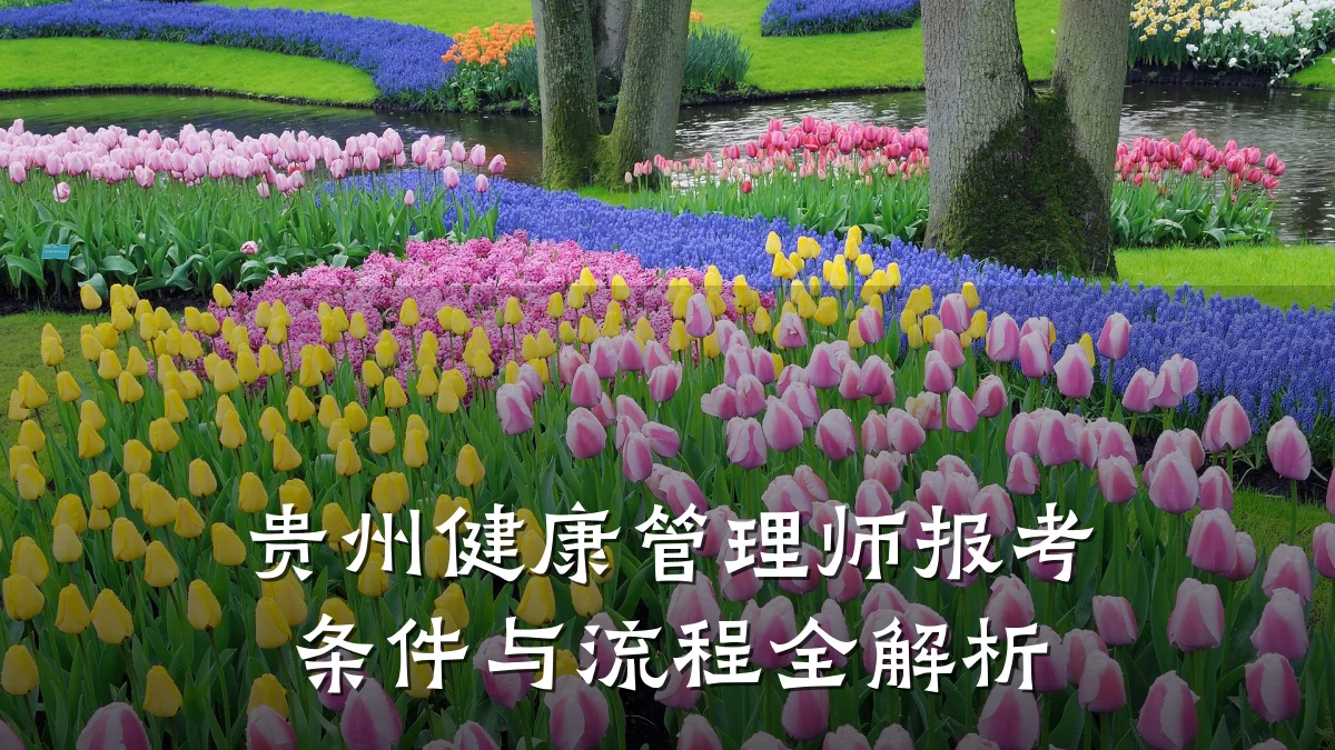贵州健康管理师报考条件与流程全解析