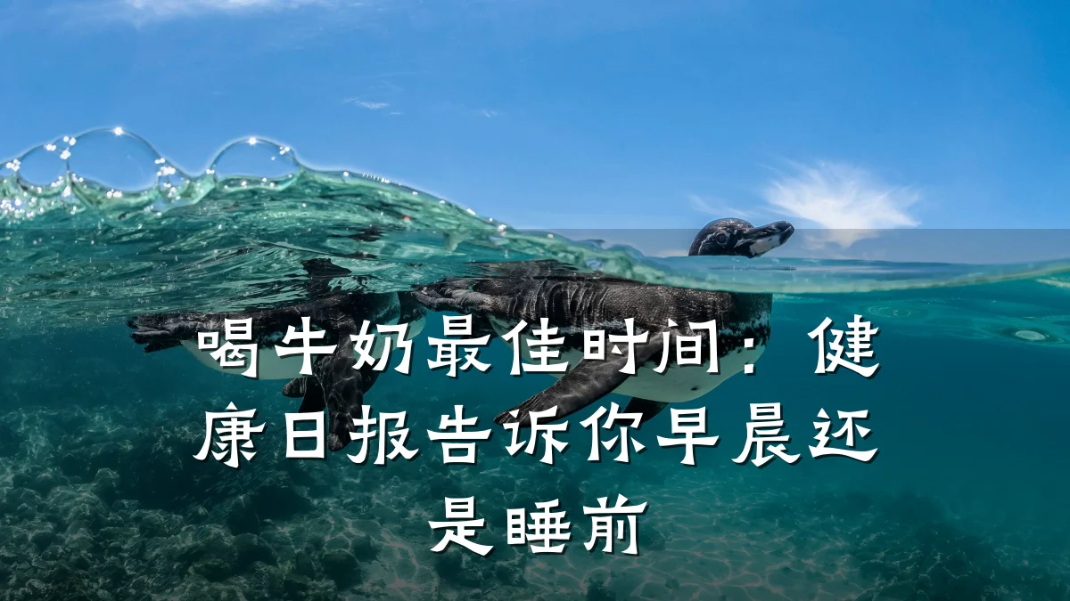喝牛奶最佳时间:健康日报告诉你早晨还是睡前