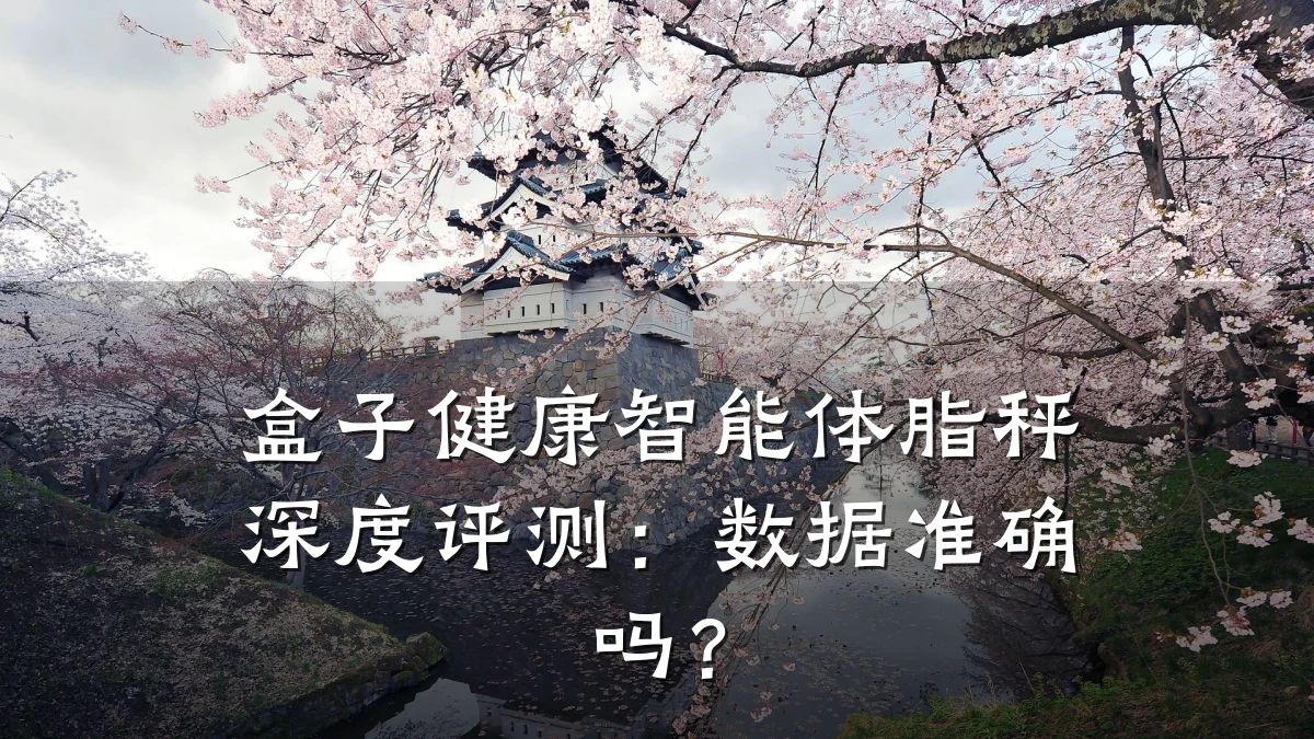 盒子健康智能体脂秤深度评测:数据准确吗?