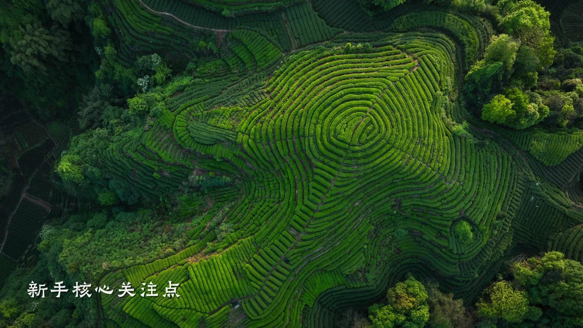 新手核心关注点