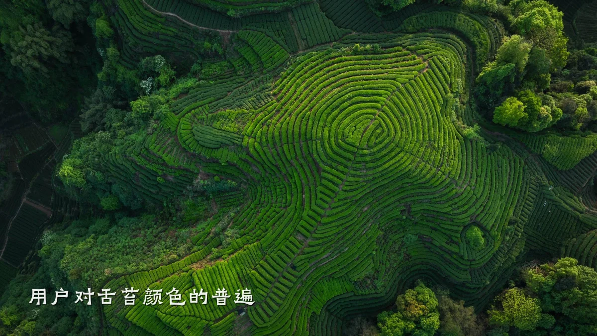 用户对舌苔颜色的普遍