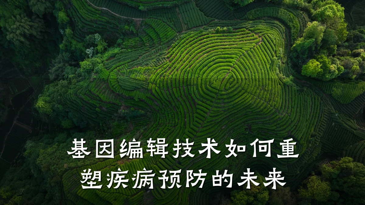 基因编辑技术如何重塑疾病预防的未来