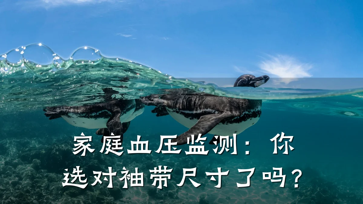 家庭血压监测:你选对袖带尺寸了吗?
