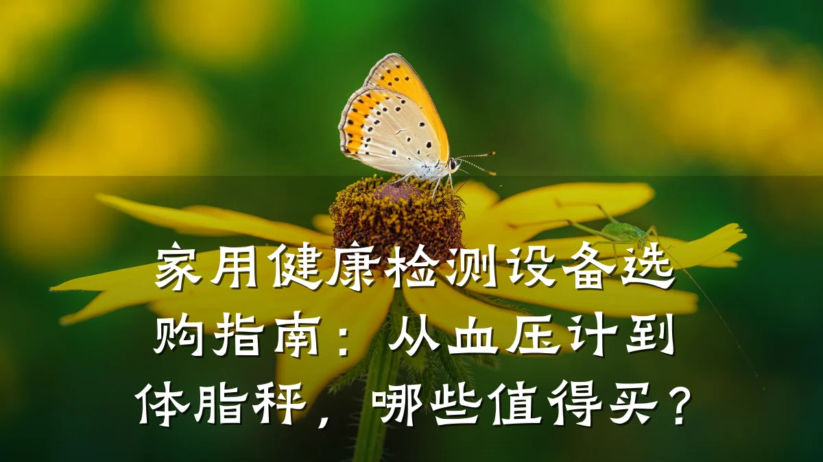 家用健康检测设备选购指南：从血压计到体脂秤，哪些值得买？
