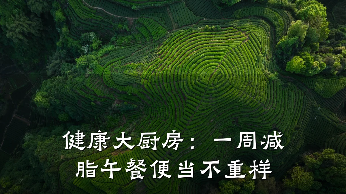 健康大厨房:一周减脂午餐便当不重样