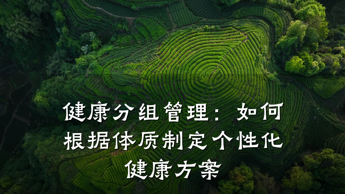 健康分组管理:如何根据体质制定个性化健康方案