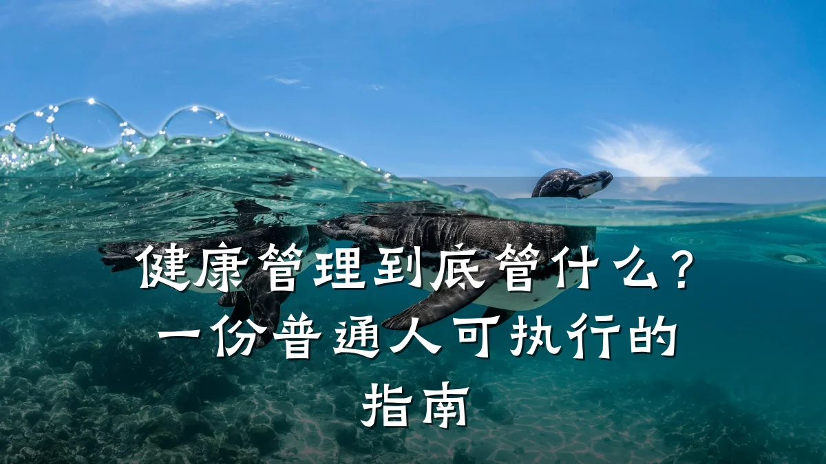 健康管理到底管什么?一份普通人可执行的指南