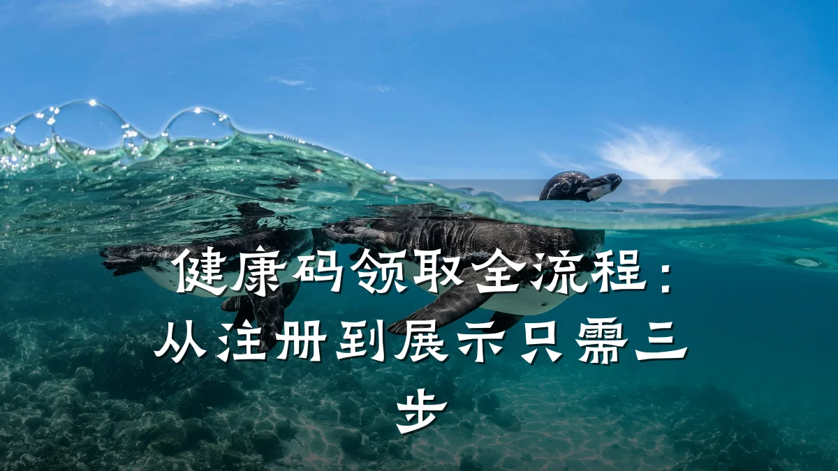 健康码领取全流程:从注册到展示只需三步