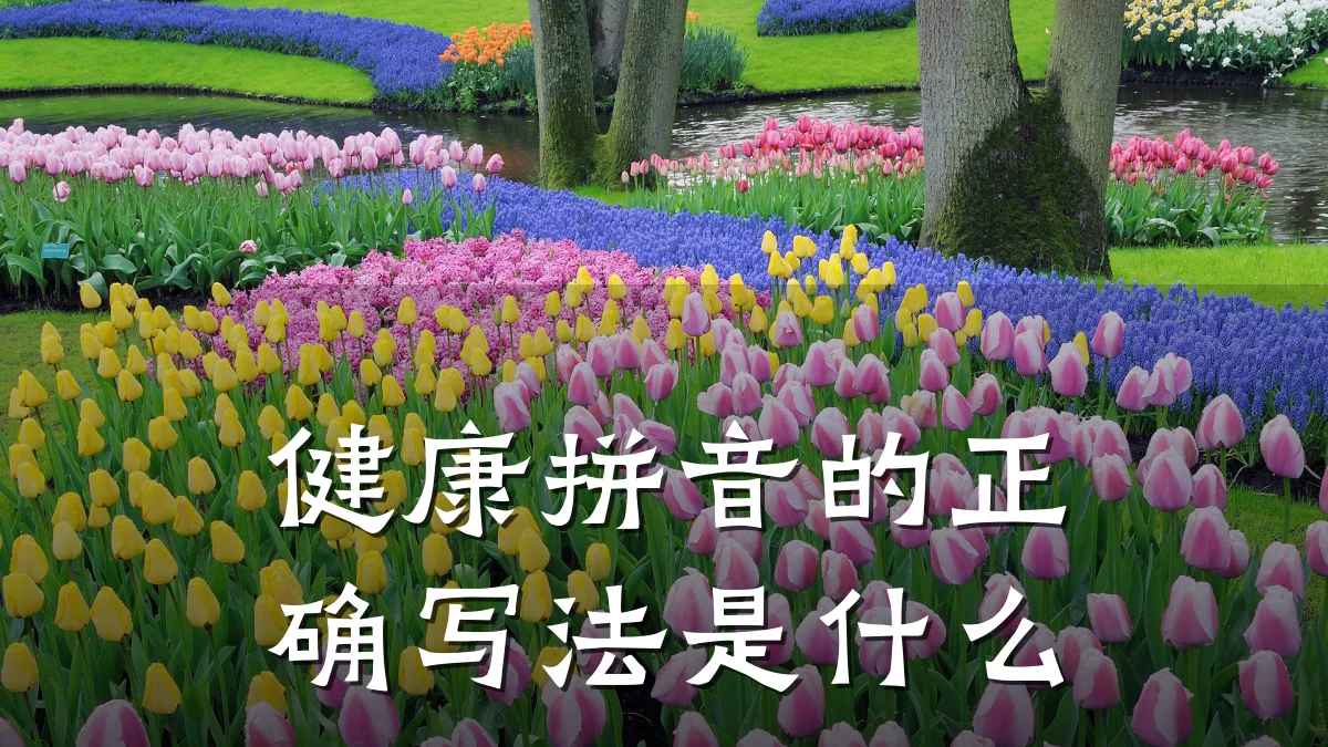 健康拼音的正确写法是什么