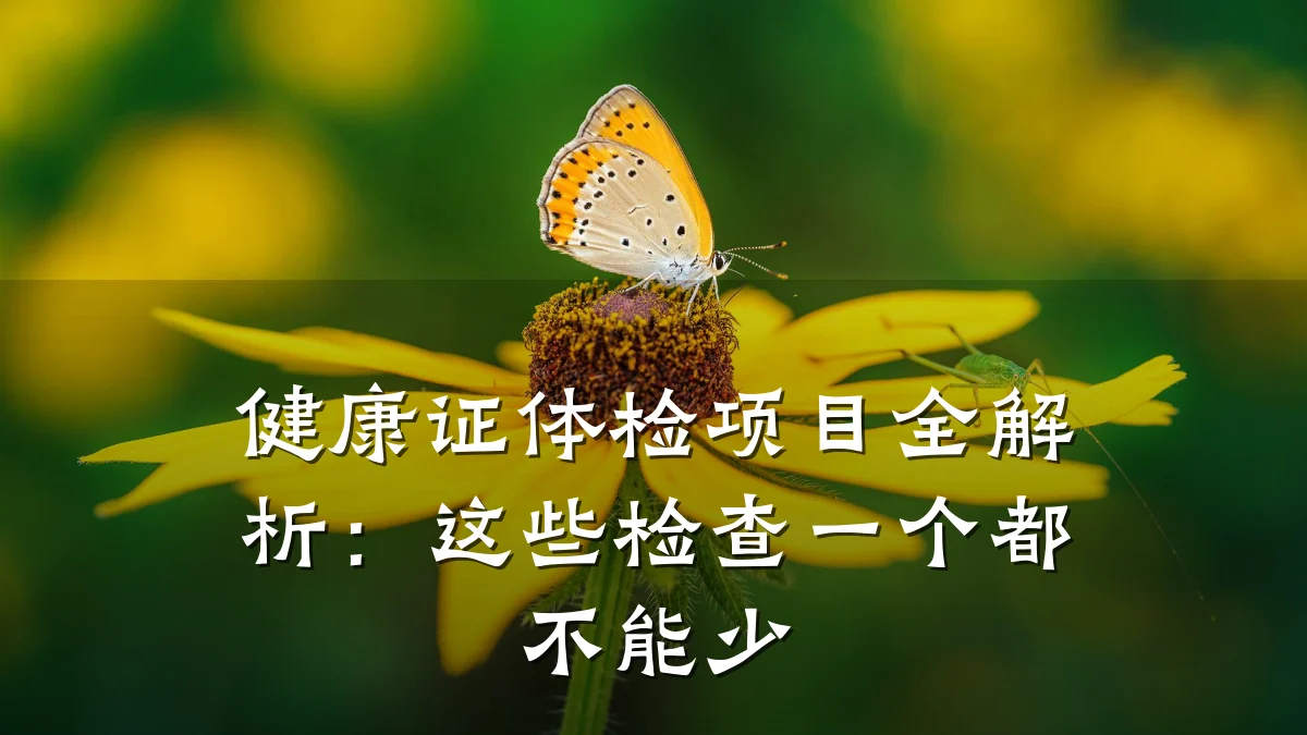 健康证体检项目全解析:这些检查一个都不能少