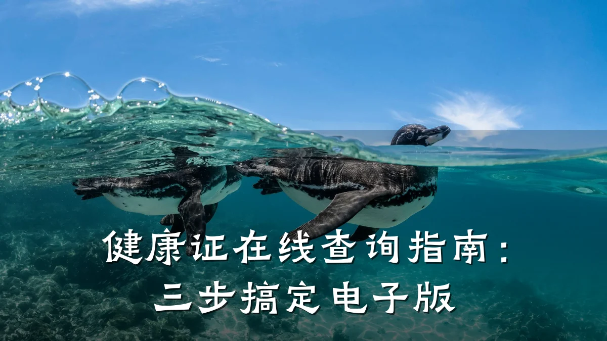 健康证在线查询指南:三步搞定电子版