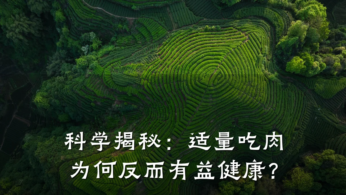 科学揭秘:适量吃肉为何反而有益健康?