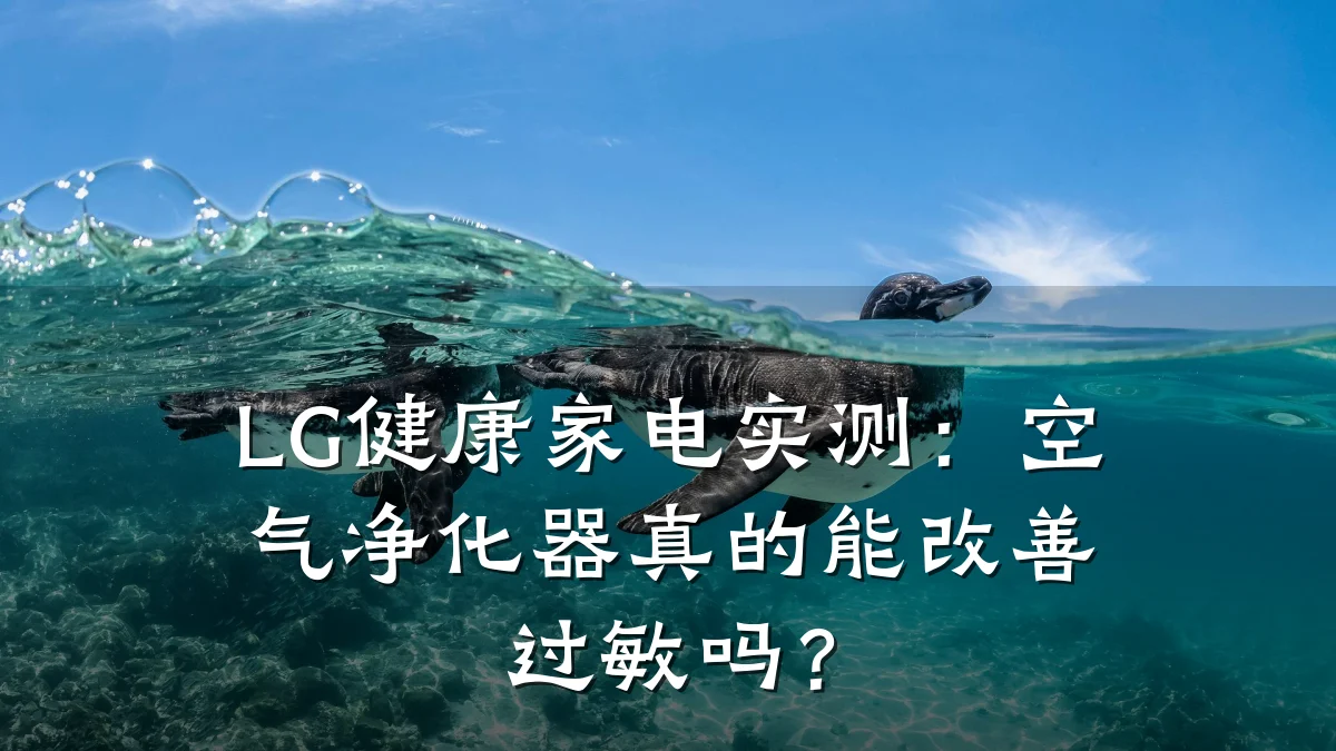 LG健康家电实测:空气净化器真的能改善过敏吗?