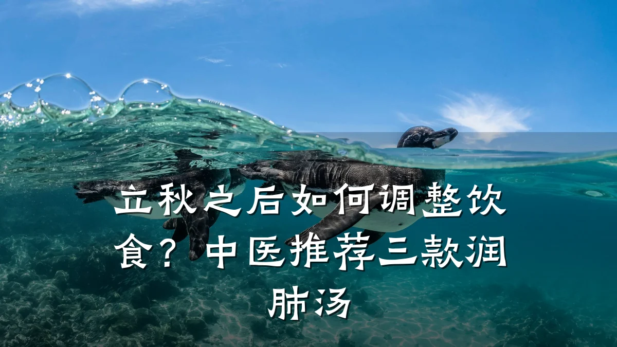 立秋之后如何调整饮食?中医推荐三款润肺汤