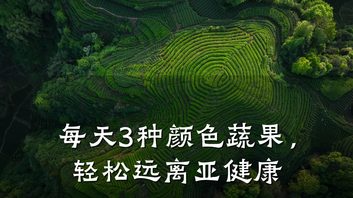 每天3种颜色蔬果,轻松远离亚健康