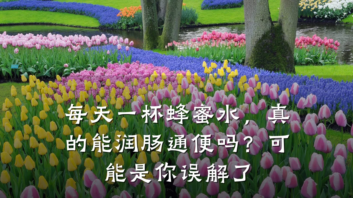 每天一杯蜂蜜水,真的能润肠通便吗?可能是你误解了