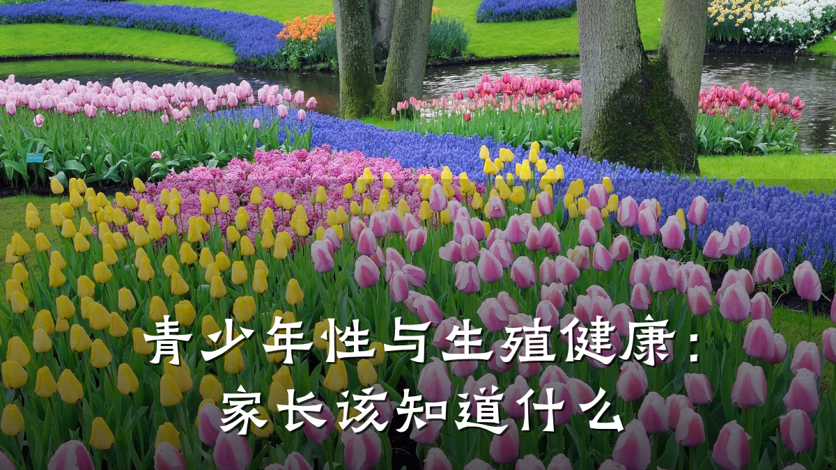 青少年性与生殖健康:家长该知道什么