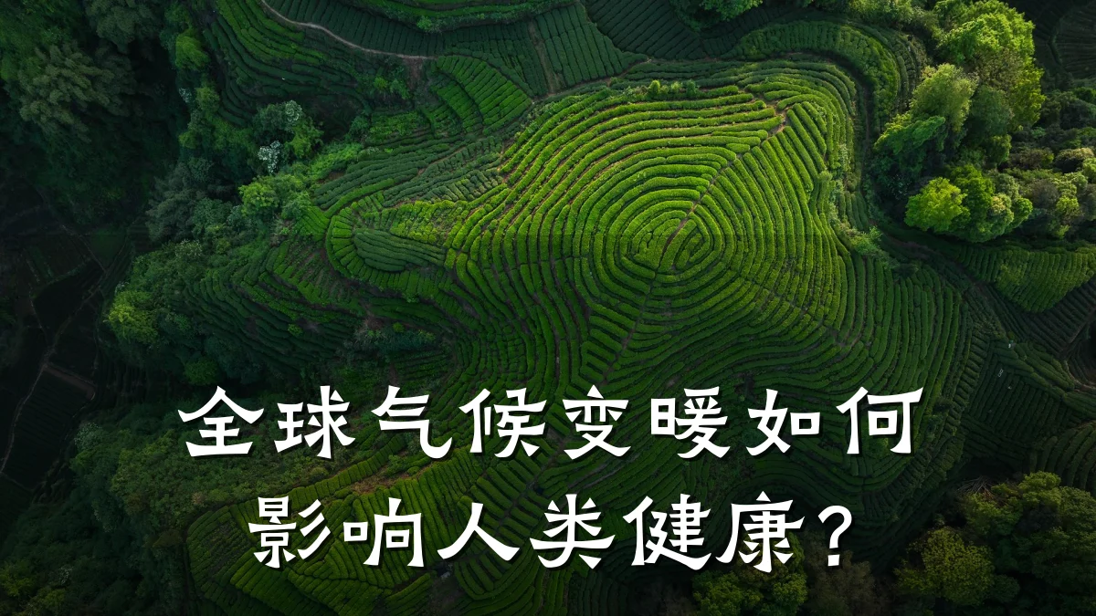 全球气候变暖如何影响人类健康?