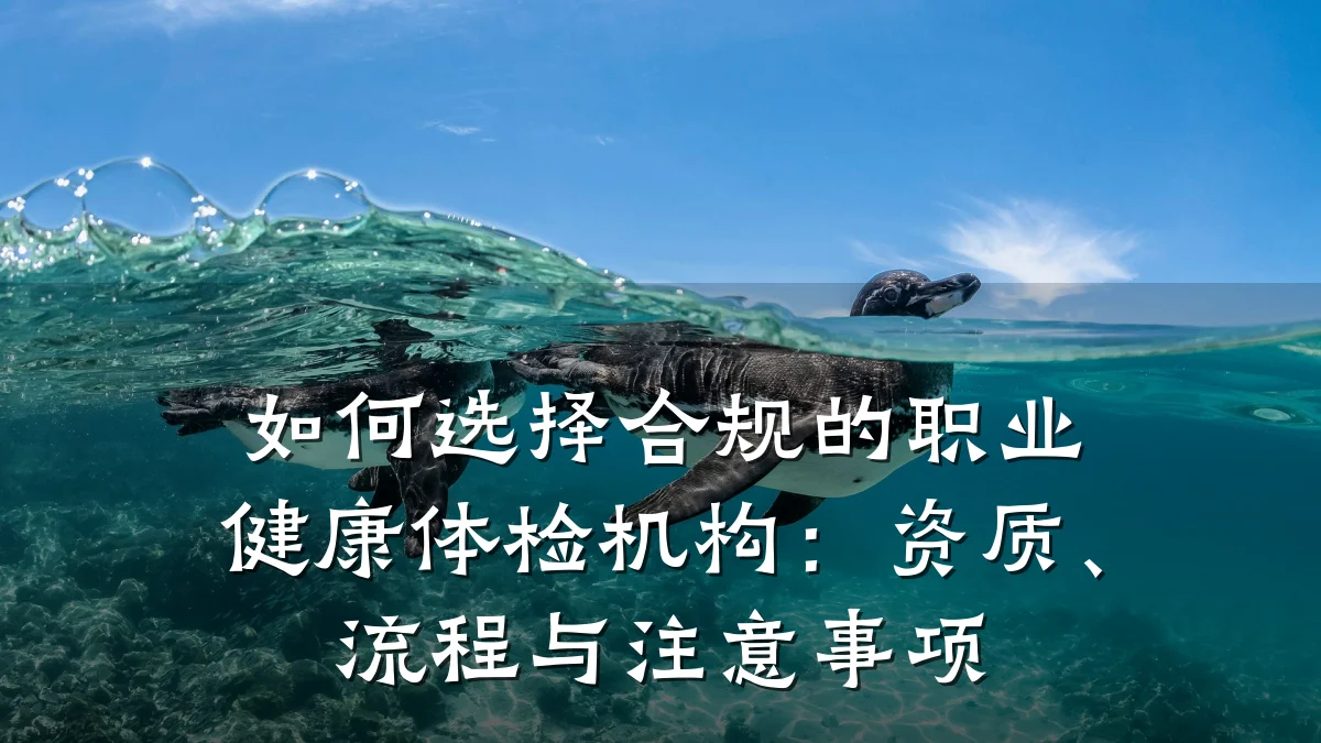 如何选择合规的职业健康体检机构：资质、流程与注意事项