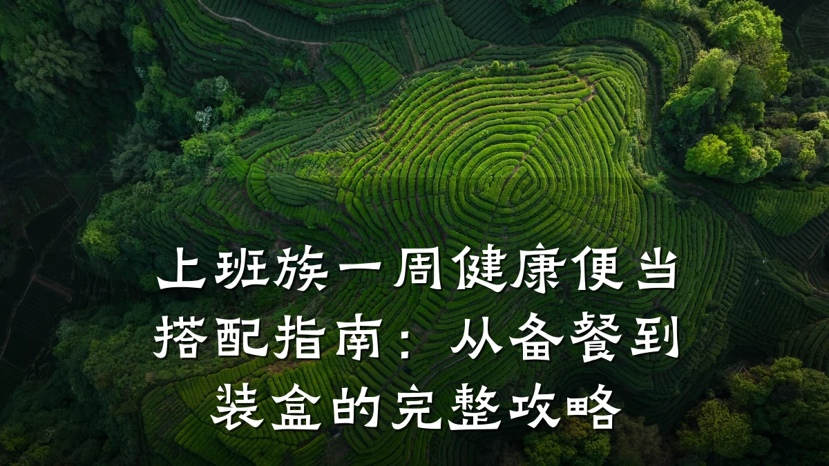 上班族一周健康便当搭配指南:从备餐到装盒的完整攻略