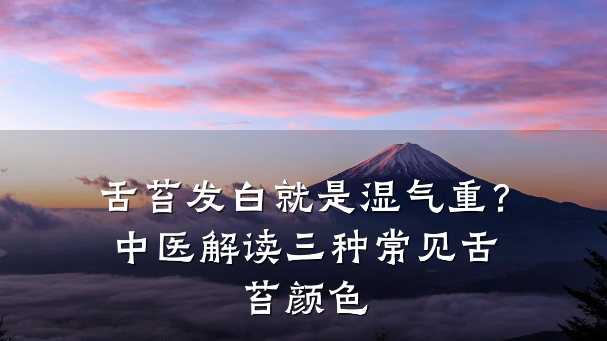 舌苔发白就是湿气重?中医解读三种常见舌苔颜色