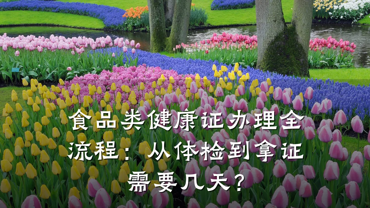 食品类健康证办理全流程:从体检到拿证需要几天?