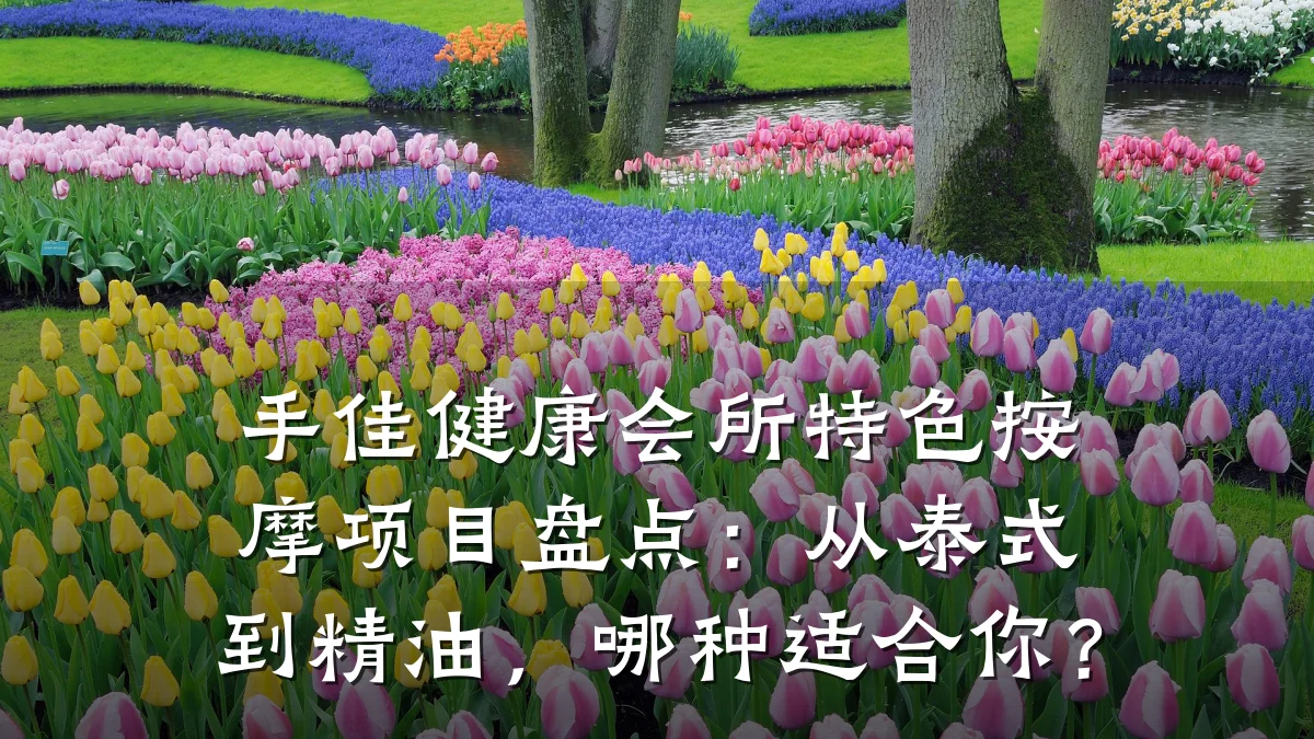 手佳健康会所特色按摩项目盘点：从泰式到精油，哪种适合你？