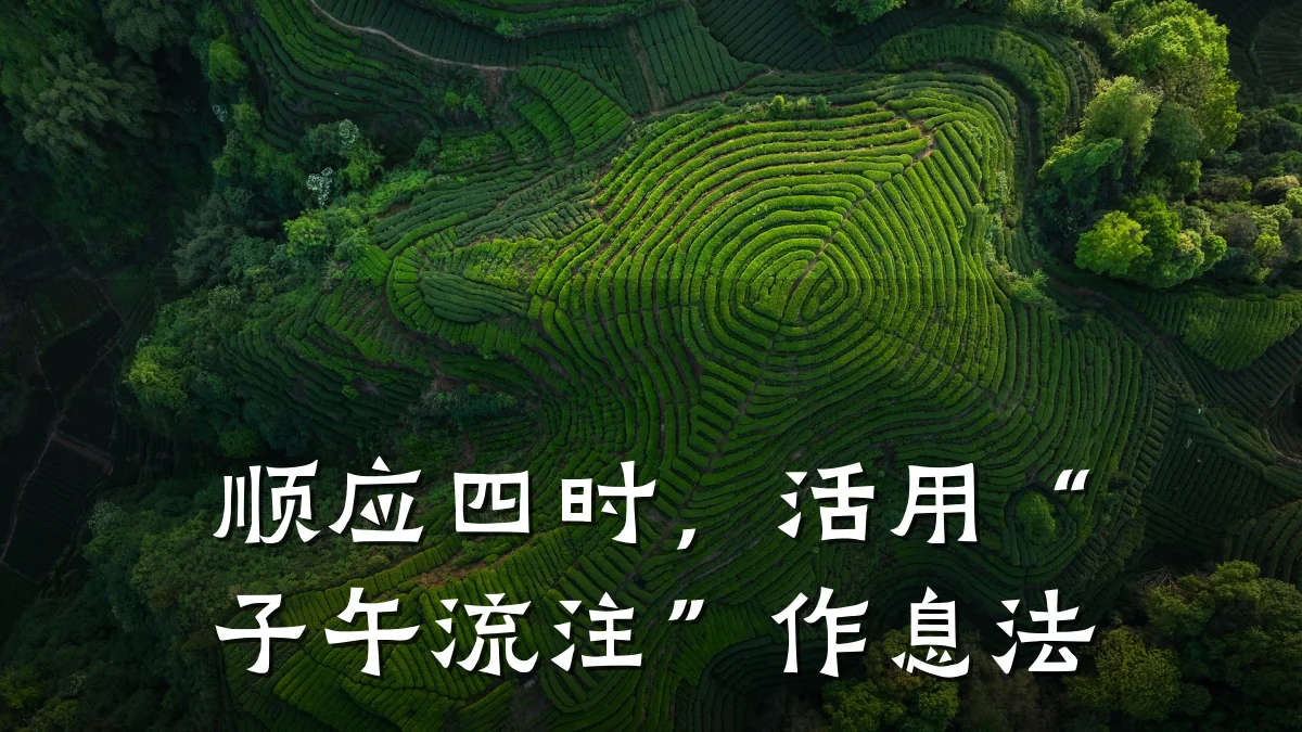 顺应四时,活用“子午流注”作息法