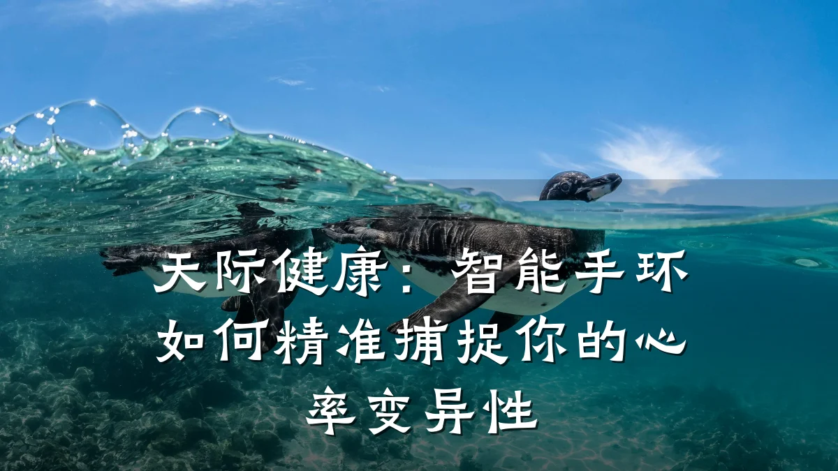 天际健康:智能手环如何精准捕捉你的心率变异性