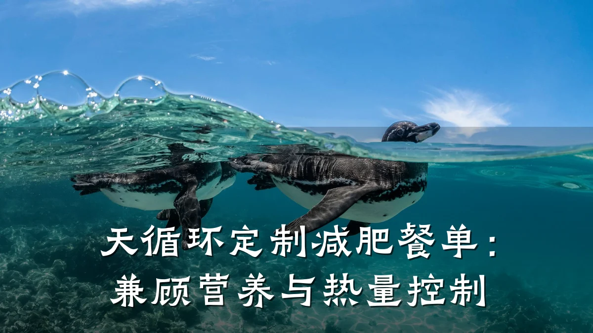 天循环定制减肥餐单:兼顾营养与热量控制