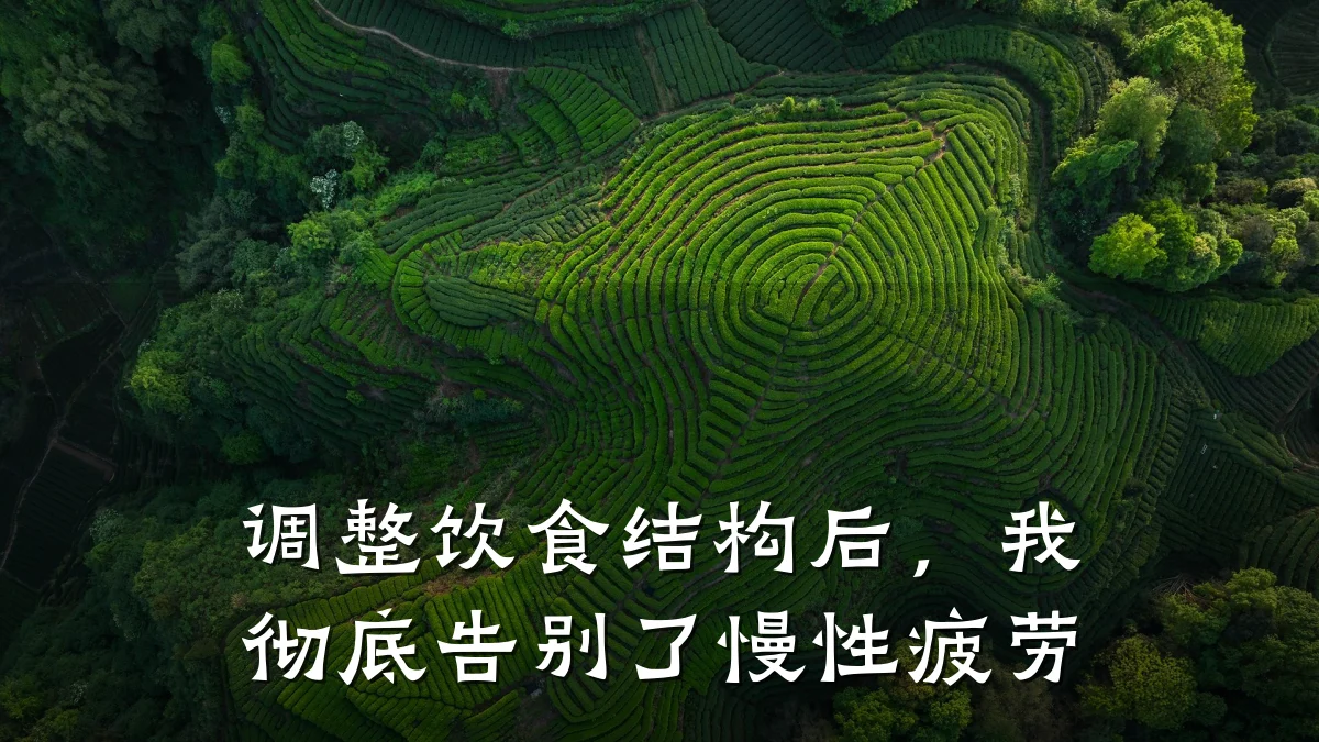 调整饮食结构后,我彻底告别了慢性疲劳
