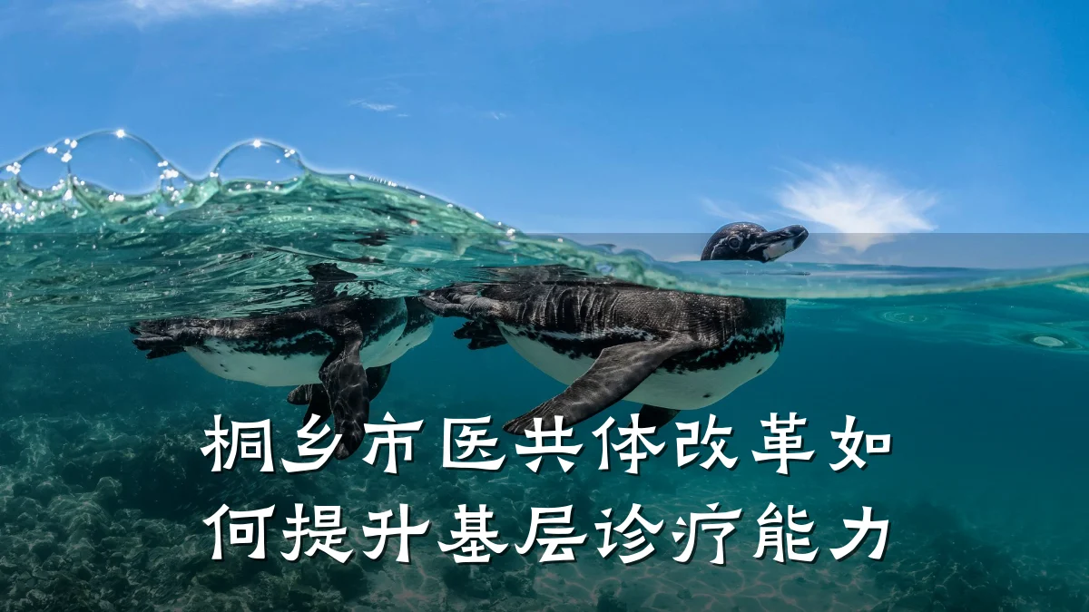 桐乡市医共体改革如何提升基层诊疗能力
