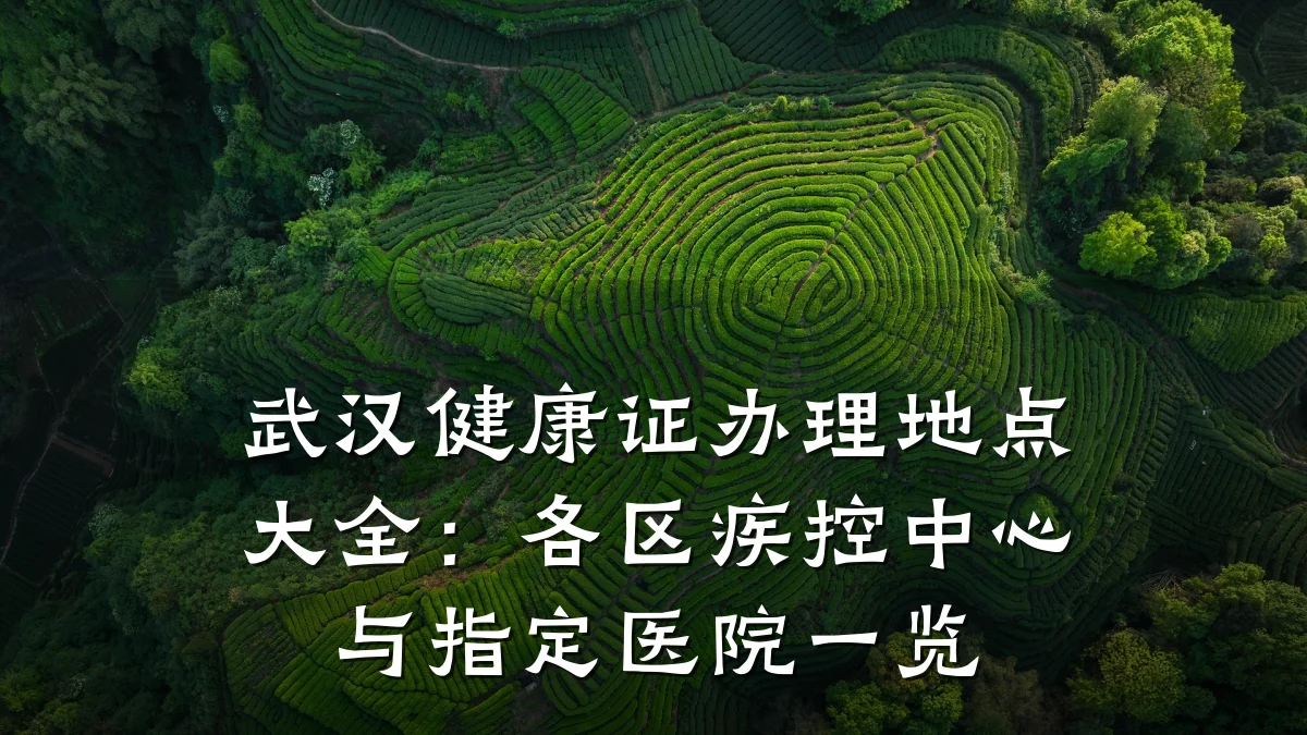 武汉健康证办理地点大全:各区疾控中心与指定医院一览