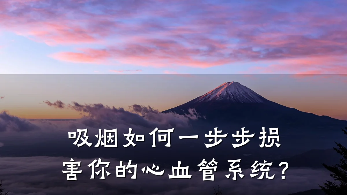 吸烟如何一步步损害你的心血管系统?
