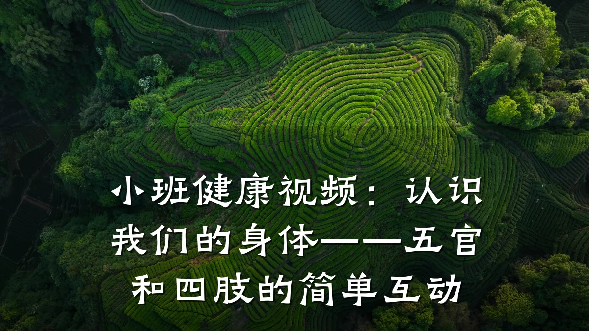 小班健康视频:认识我们的身体——五官和四肢的简单互动