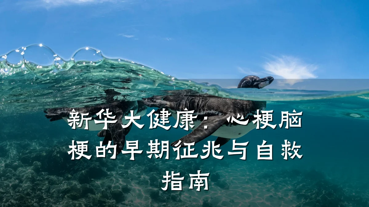新华大健康:心梗脑梗的早期征兆与自救指南