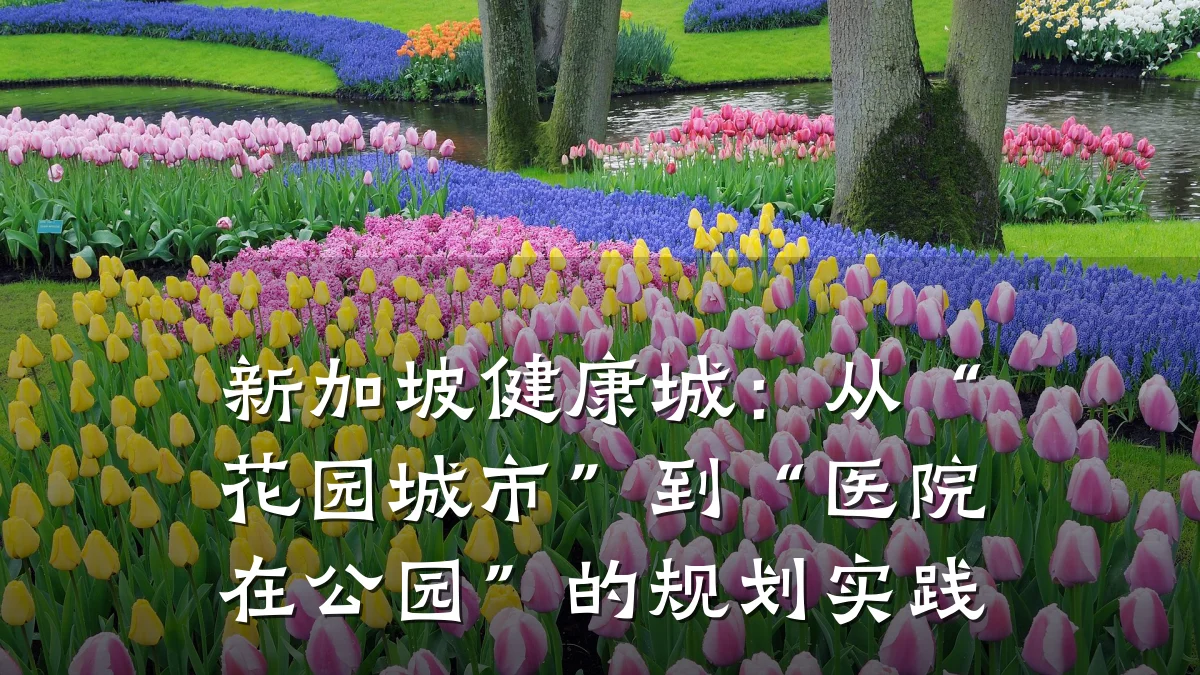 新加坡健康城:从“花园城市”到“医院在公园”的规划实践