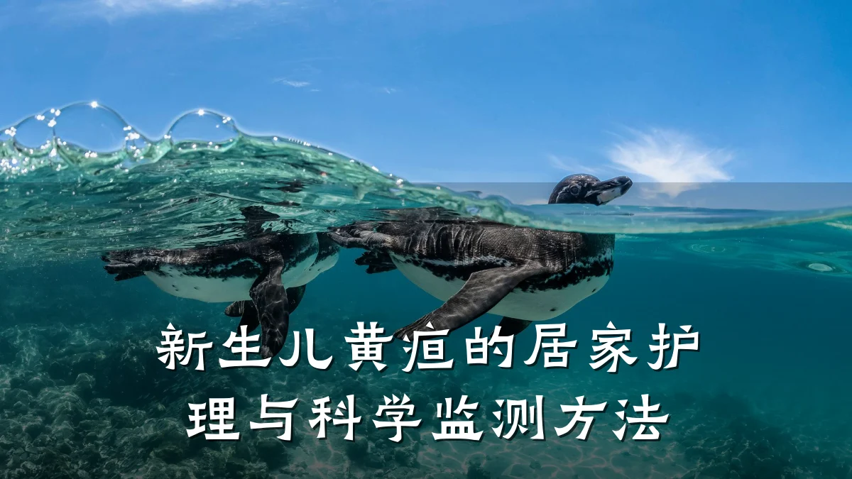 新生儿黄疸的居家护理与科学监测方法