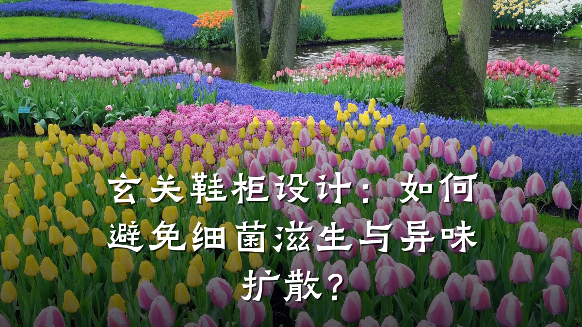 玄关鞋柜设计:如何避免细菌滋生与异味扩散?