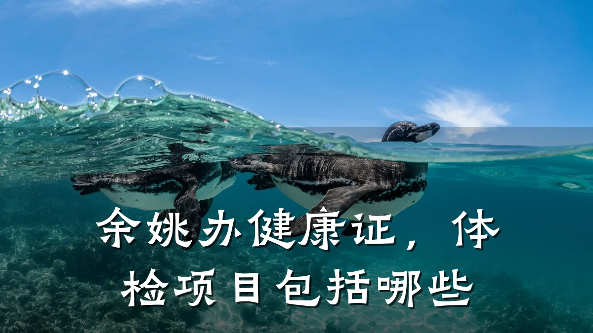 余姚办健康证,体检项目包括哪些