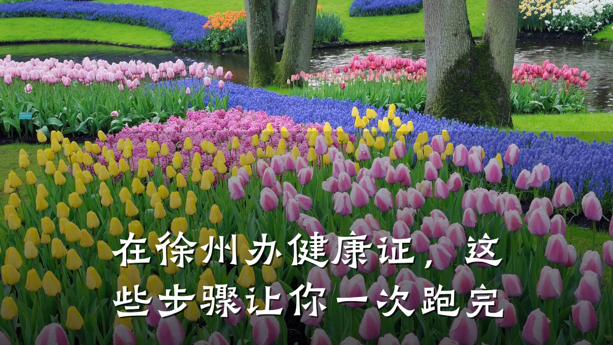 在徐州办健康证,这些步骤让你一次跑完