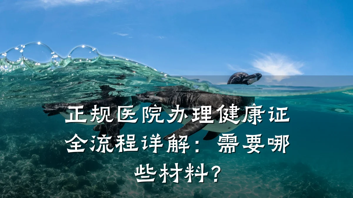 正规医院办理健康证全流程详解:需要哪些材料?